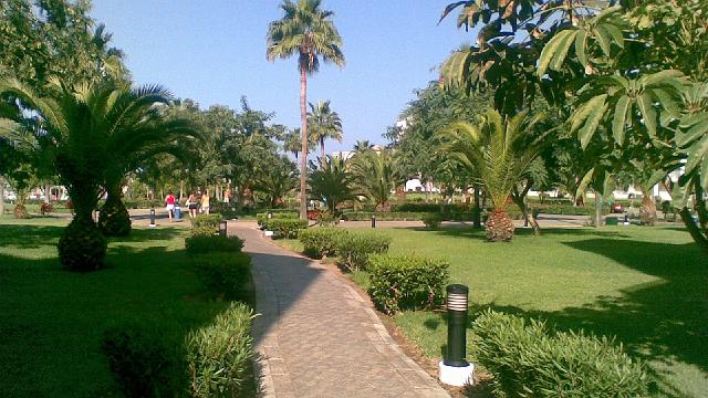 Grancanaria 2007-16.jpg